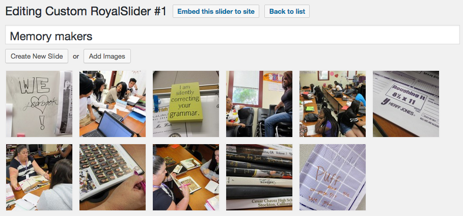 Slider with thumbnails for review.