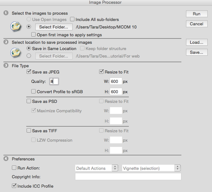 A screenshot of the image processor window.