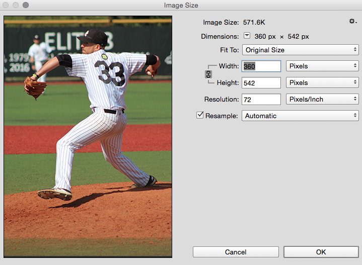 Image size window for changing size of image.
