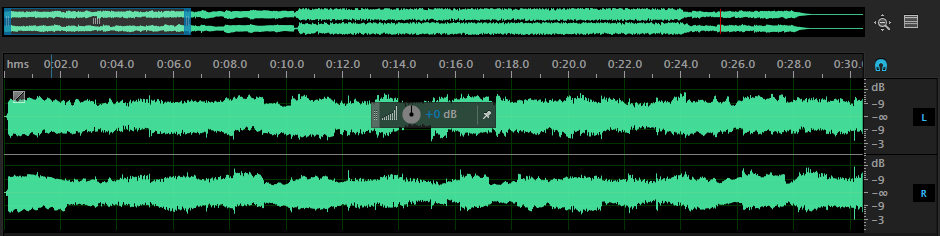 Zoomed out audio tracks in Audition